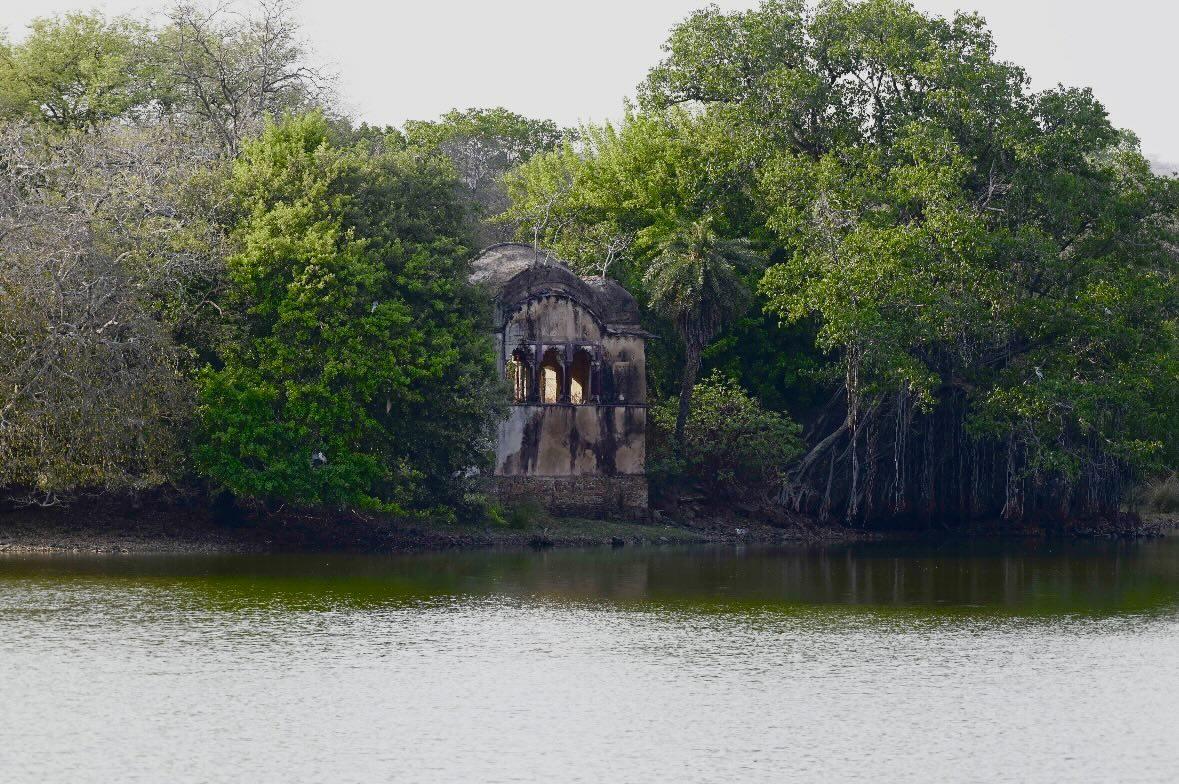 Ancient Ranthambore fort stone ruins on lake shore