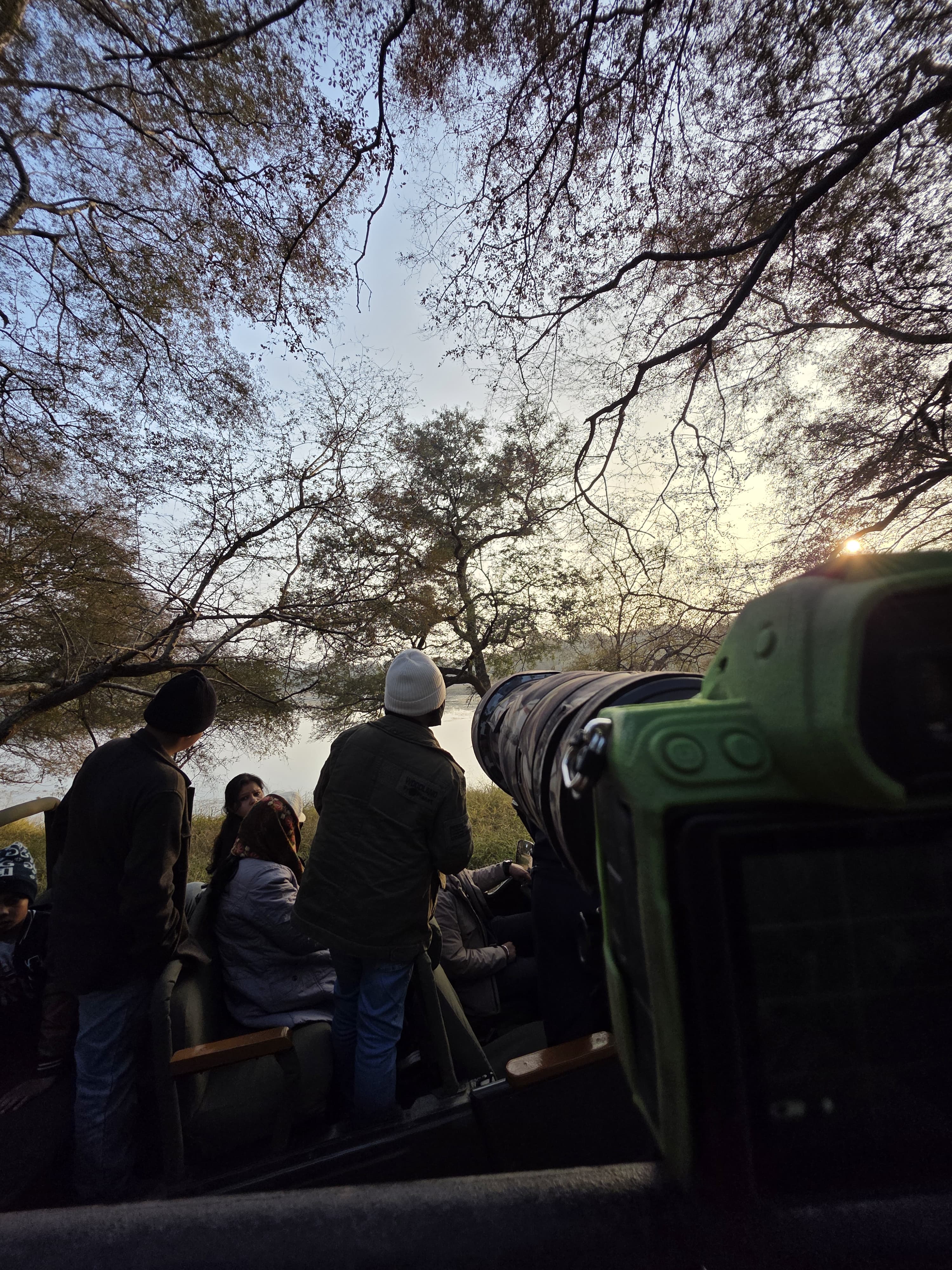 Silhouettes of guests on a safari Gypsy by the lake at dusk, bare tree canopy against a golden evening sky